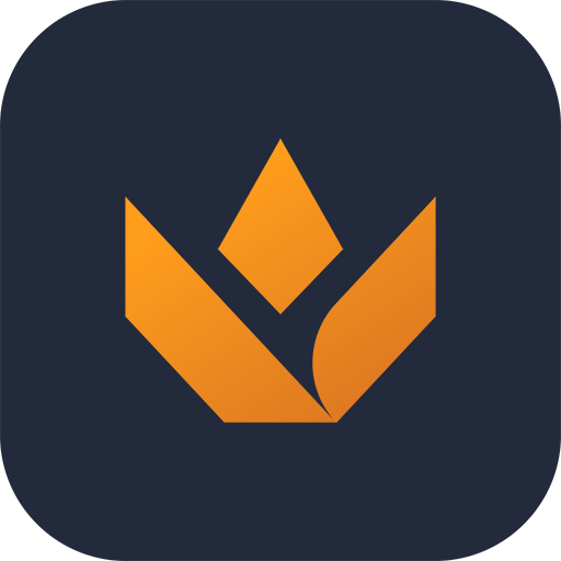 Valorant Tracker - Valking.gg app icon captured 2026-08-18