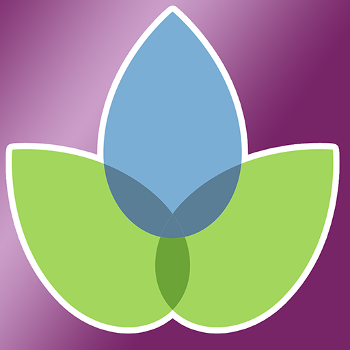 Modern Essentials Plus Google Play icon captured 2026-08-16