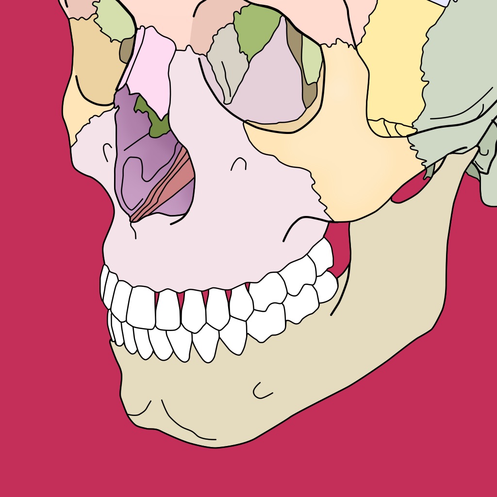 Body coloring book app icon captured 2026-08-12