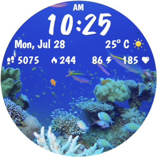 Live Aquarium Watchface Google Play icon captured 2026-08-16