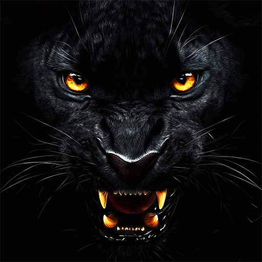 All Black Wallpaper Collection app icon captured 2026-08-18