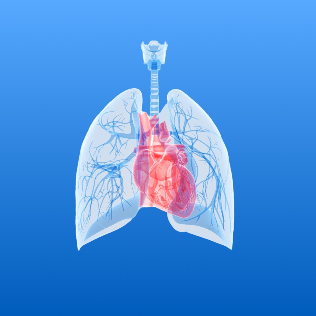 Lung Heart Sounds app icon captured 2026-08-11