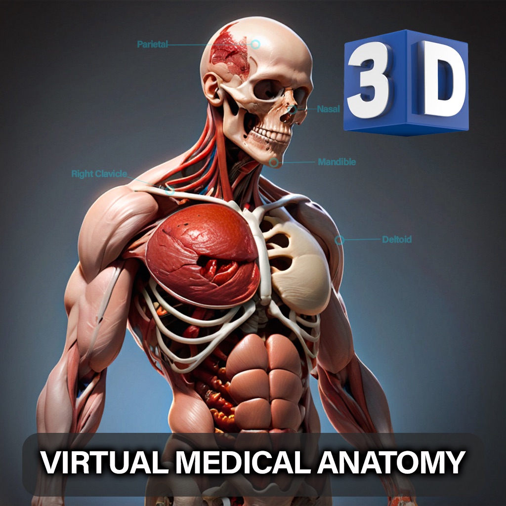 Virtual Medical Anatomy app icon captured 2026-08-12