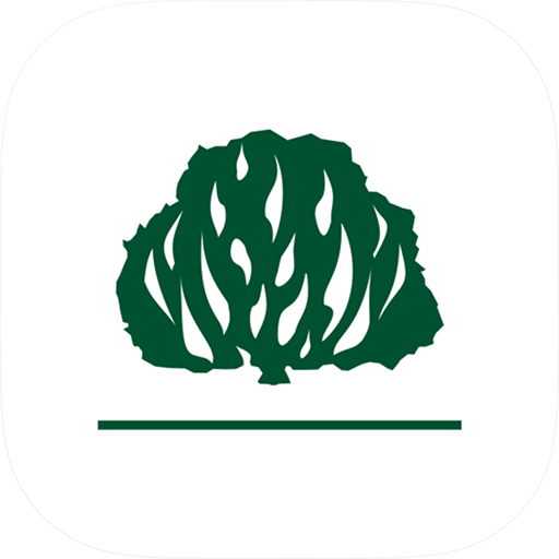 IPB Oficial Google Play icon captured 2026-08-15