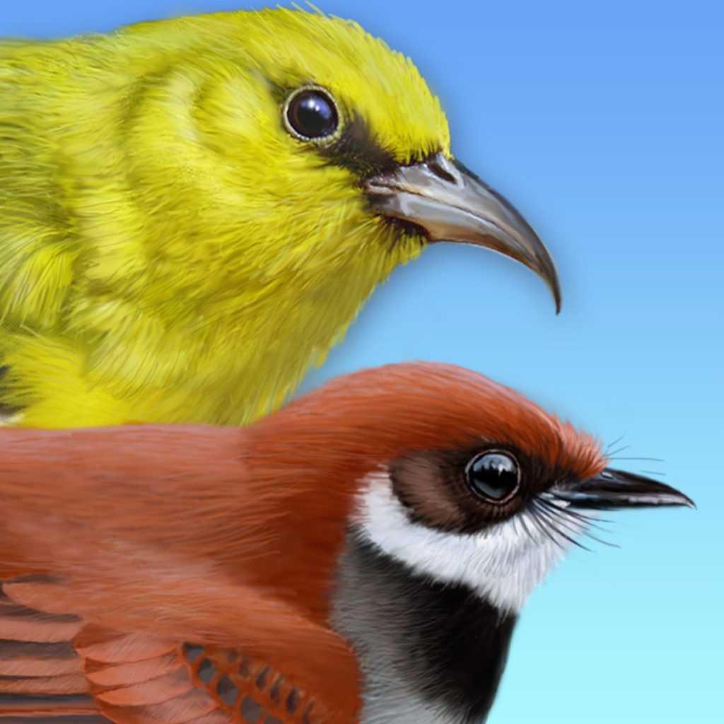 iBird Hawaii & Palau Guide app icon captured 2026-08-11
