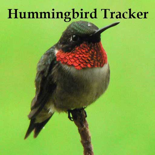 Hummingbird Tracker app icon captured 2026-08-18