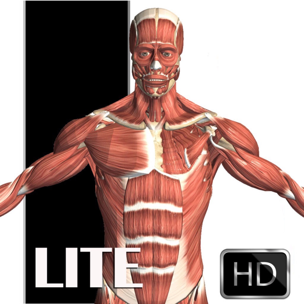 Visual Anatomy Lite app icon captured 2026-08-12