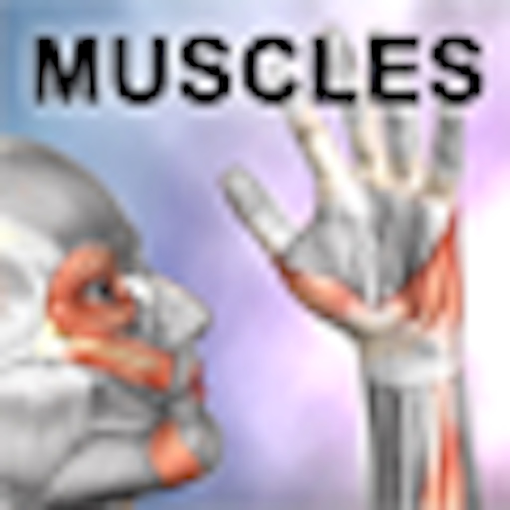 Learn Muscles: Anatomy app icon captured 2026-08-12