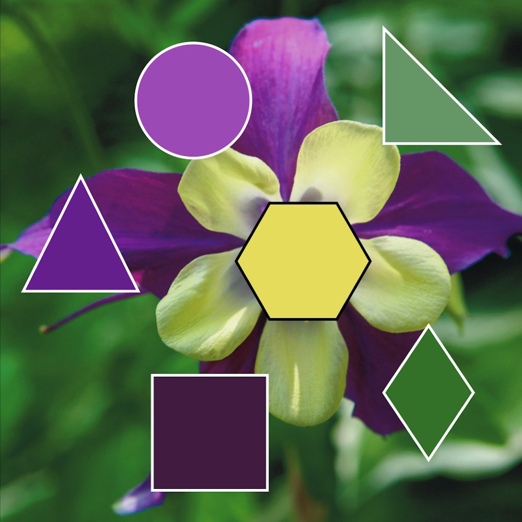 ColorHints Mosaic app icon captured 2026-08-11
