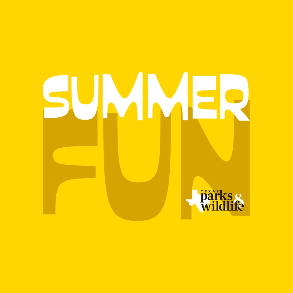 Texas Summer Fun Sticker Pack app icon captured 2026-08-12