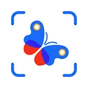 Picture Insect: 写真から昆虫やクモを識別する app icon
