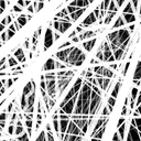 Thicket:Classic app icon