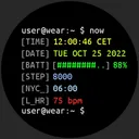 Terminal Watch face app icon