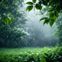 Realistic Rain Live Wallpaper app icon