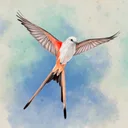 WINGSPAN (ウイングスパン) JP icon week of 2026-08-17