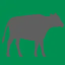 Cattle Weight Estimator app icon