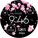 Seasonal Watch - Animated app icon