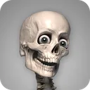 Skelly: Poseable Anatomy Model app icon