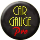 Car Gauge Pro (OBD2 + Enhance) app icon