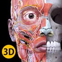 Anatomia - Atlas 3D icon from 2026-08-13