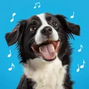 Talking Pet: Revive AI Photo app icon