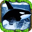 Orca Simulator app icon