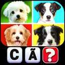 Quebra-cabeça de palavras app icon