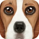 Ultimate Dog Simulator app icon