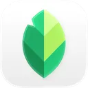 Snapseed: editor de fotos icon from 2026-08-11