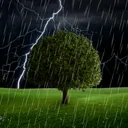 Thunderstorm Live Wallpaper app icon