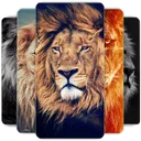 Papel de Parede de Leão HD app icon