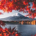Japan Wallpaper app icon