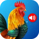Animal Ringtones app icon