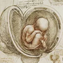 Leonardo da Vinci: Anatomy app icon