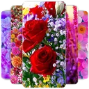 Papel de Parede de Flores app icon