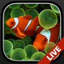 ロック画面用の水族館ライブ壁紙 + app icon