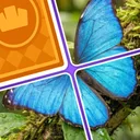 ジグソードロップ：ソリティアパズル JP icon week of 2026-08-17