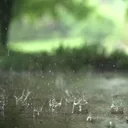 Real Rain Live Wallpaper app icon