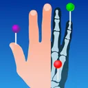IMAIOS e-Anatomy US icon week of 2026-08-10
